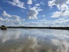 -盐城丹顶鹤湿地生态旅游区