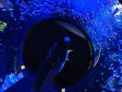 -成都浩海立方海洋公园