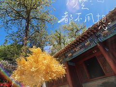 -潭柘寺景区