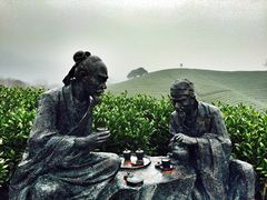 -帐篷客·溪龙茶谷度假酒店