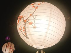 -日本料理神拉面