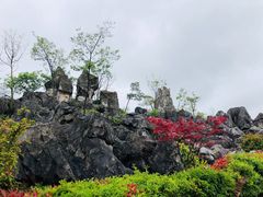 -千岛湖石林