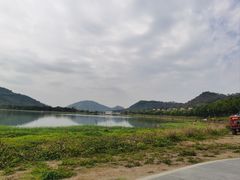 -风云岭森林公园