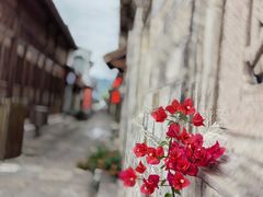 -紫阳古街