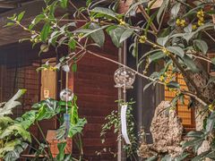 -谷咖啡·鲜花绿植花园餐厅