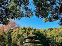 -惠山国家森林公园