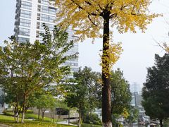 -重庆彩云湖湿地公园