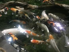 -北京动物园