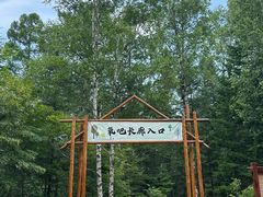 -汤旺河林海奇石景区