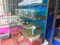 -Sasa的海(蜈支洲岛后海店)