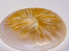 -蘇锦宴·淮扬菜烤鸭·小院(三元桥霄云路店)