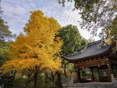 -汇龙潭