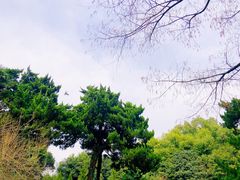 -菊花台公园