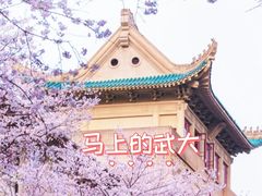 -武汉大学-樱园