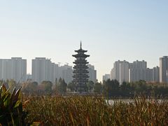 -洋湖国家湿地公园