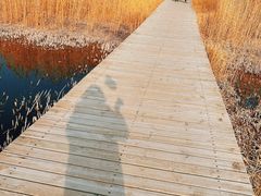 -野鸭湖国家湿地公园