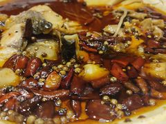 -明泉特特(军工店)