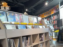 -浣熊唱片店(上海影城店)