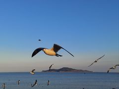 -幸福公园-海滨北路停车场