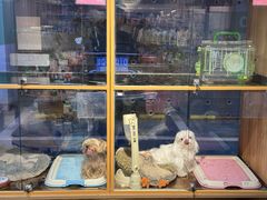 -FAELING PETS美天灵宠物(富力广场店)