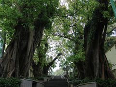 -嘉模圣母教堂