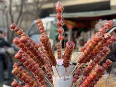 -蒲河大集