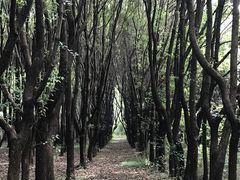 -同里国家湿地公园