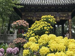 -汇龙潭