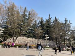 -金城公园