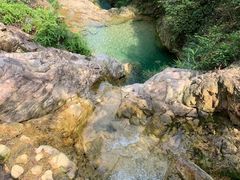 -南海湾森林生态园