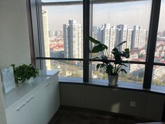 -谢冬律师团队·专注离婚案件·君澜律所