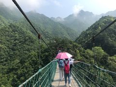 -遂昌金矿国家矿山公园