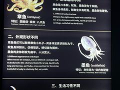 -大连圣亚海洋世界