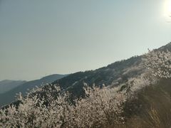 -妙峰山风景名胜区