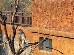 -济南野生动物世界