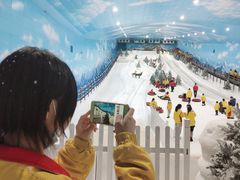 -世界之窗阿尔卑斯冰雪世界