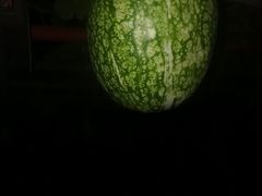 -润记农家菜