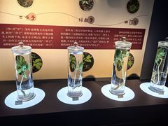 -北山公园