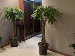 -巴拉吉·SPA·按摩养生馆