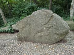 -上海佘山国家森林公园天马山园