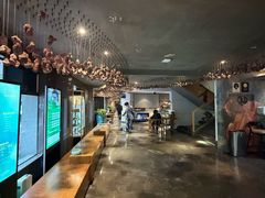 -新盈光·旗舰店(海曙苍松路店)