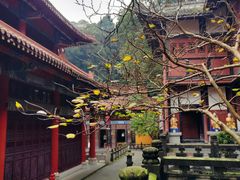 -都江堰普照寺