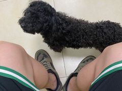 -宠福鑫康馨动物医院·骨科·眼科