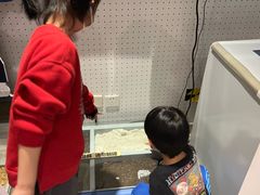-中国宋庆龄青少年科技文化交流中心