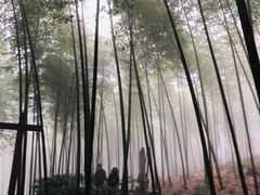 -天目湖御水温泉·度假酒店