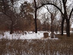 -长春市南湖公园