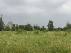 -永定河休闲森林公园