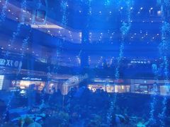 -成都浩海立方海洋公园