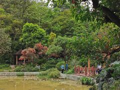 -云溪植物园
