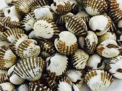 -清水湾3号(东方小周海鲜店)